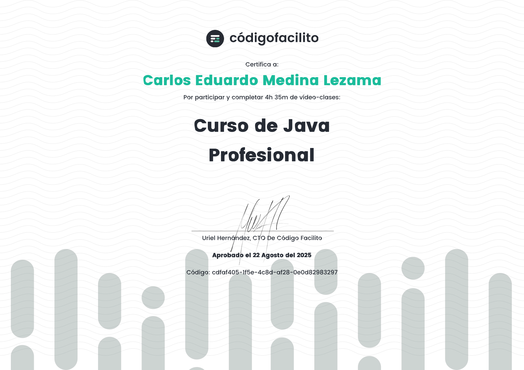 Curso de Java Profesional - Carlos Eduardo Medina Lezama